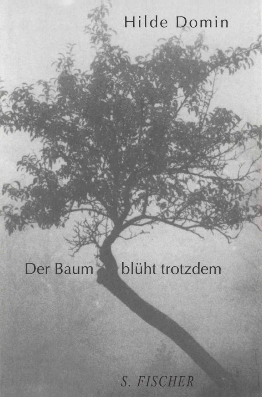 Cover: 9783100153227 | Der Baum blüht trotzdem | Hilde Domin | Buch | 96 S. | Deutsch | 1999