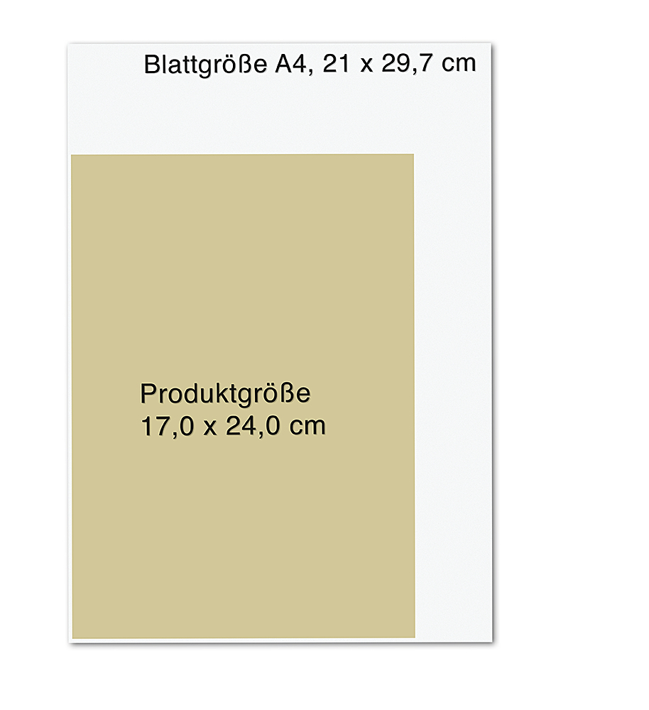 Bild: 9783426448199 | Das Hexoskop | Birgit Jankovic-Steiner | Buch | 296 S. | Deutsch