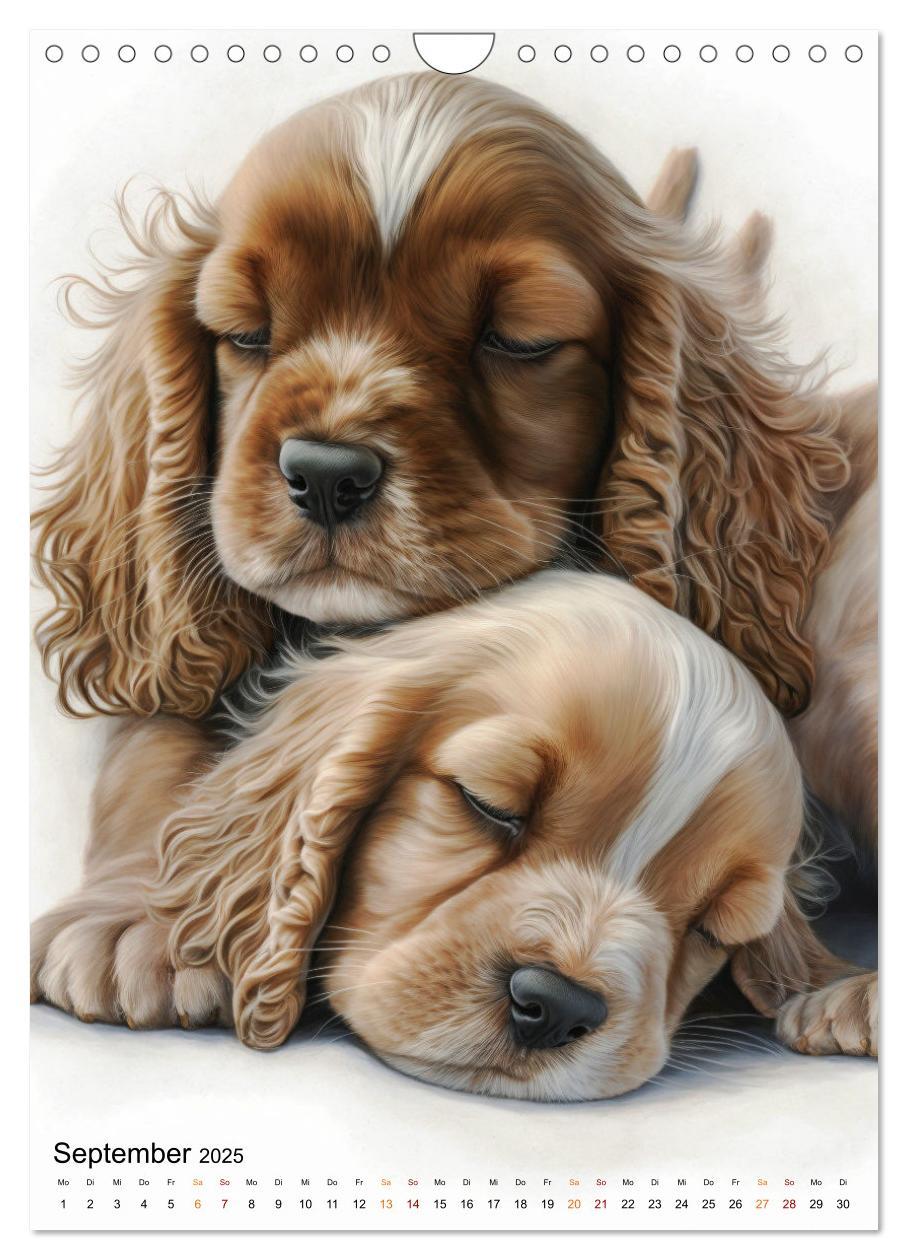 Bild: 9783383765322 | Cocker Spaniel - ein Hund für die Familie (Wandkalender 2025 DIN A4...