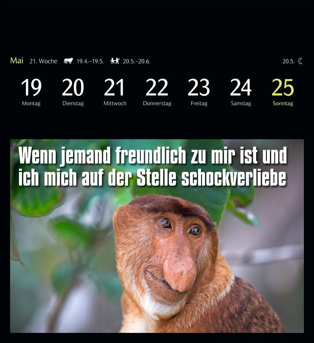 Bild: 9783840035012 | Animal Memes Postkartenkalender 2025 - 53 tierisch witzige Postkarten