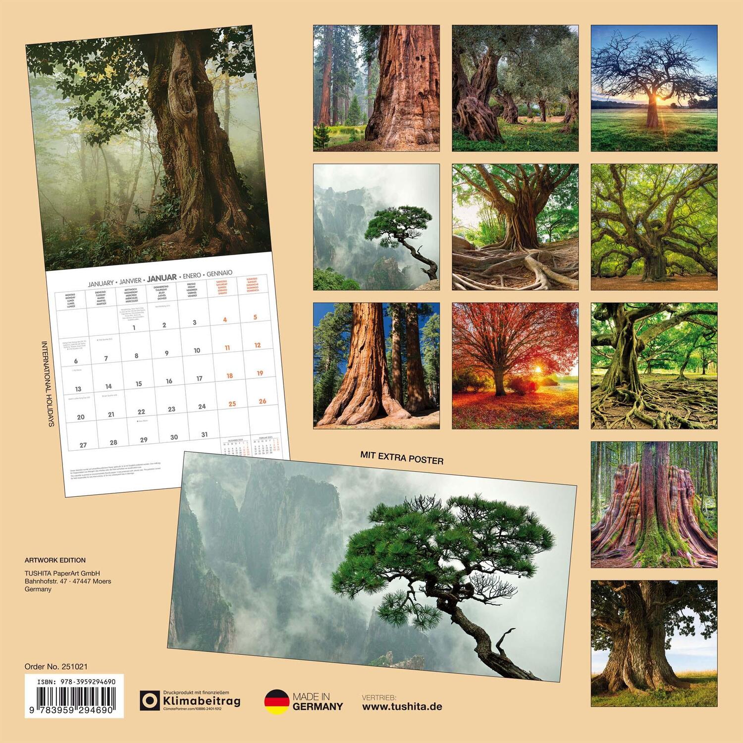 Rückseite: 9783959294690 | Die Kraft der Bäume 2025 | Kalender 2025 | Kalender | Artwork Edition