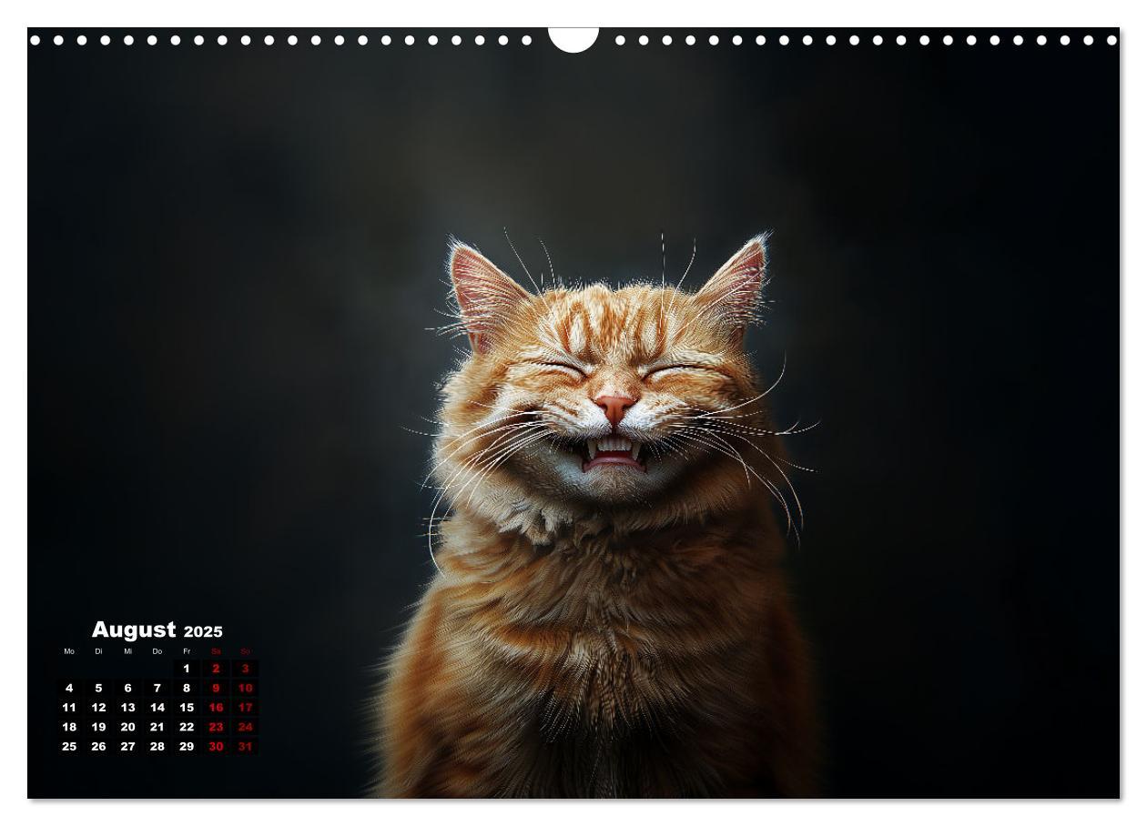 Bild: 9783457202005 | Auch Katzen lachen gern (Wandkalender 2025 DIN A3 quer), CALVENDO...