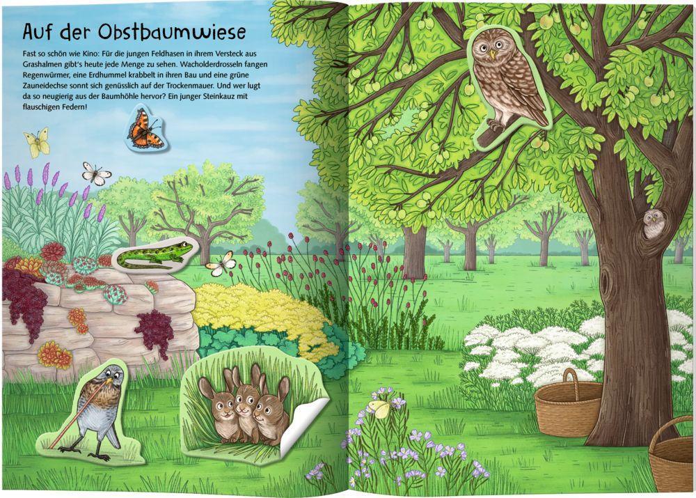 Bild: 9783649636977 | Natur-Stickerwelt: Tiere in Wald und Wiese | Taschenbuch | Nature Zoom