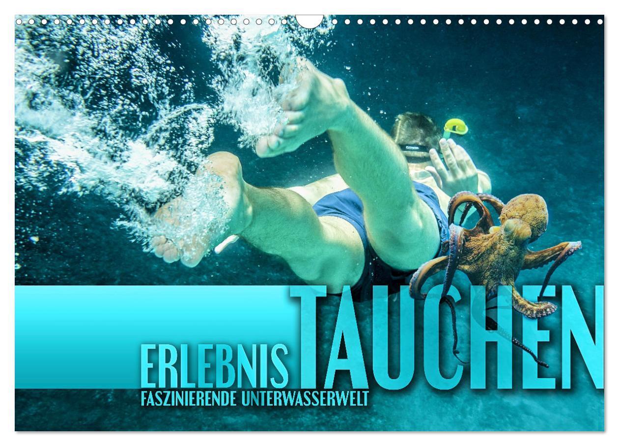 Cover: 9783675602243 | Erlebnis Tauchen - faszinierende Unterwasserwelt (Wandkalender 2024...
