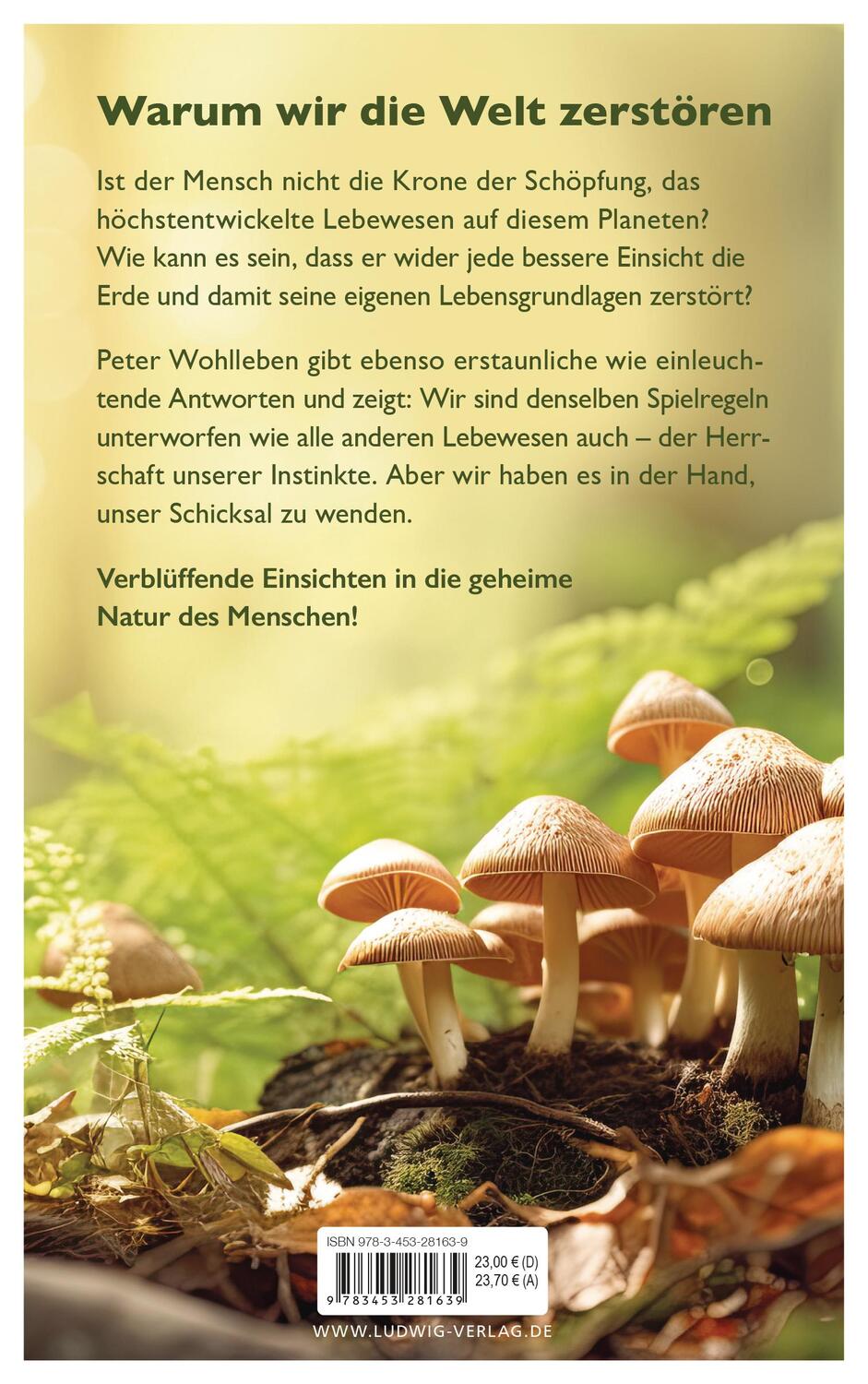 Bild: 9783453281639 | Unser wildes Erbe | Peter Wohlleben | Buch | 256 S. | Deutsch | 2023