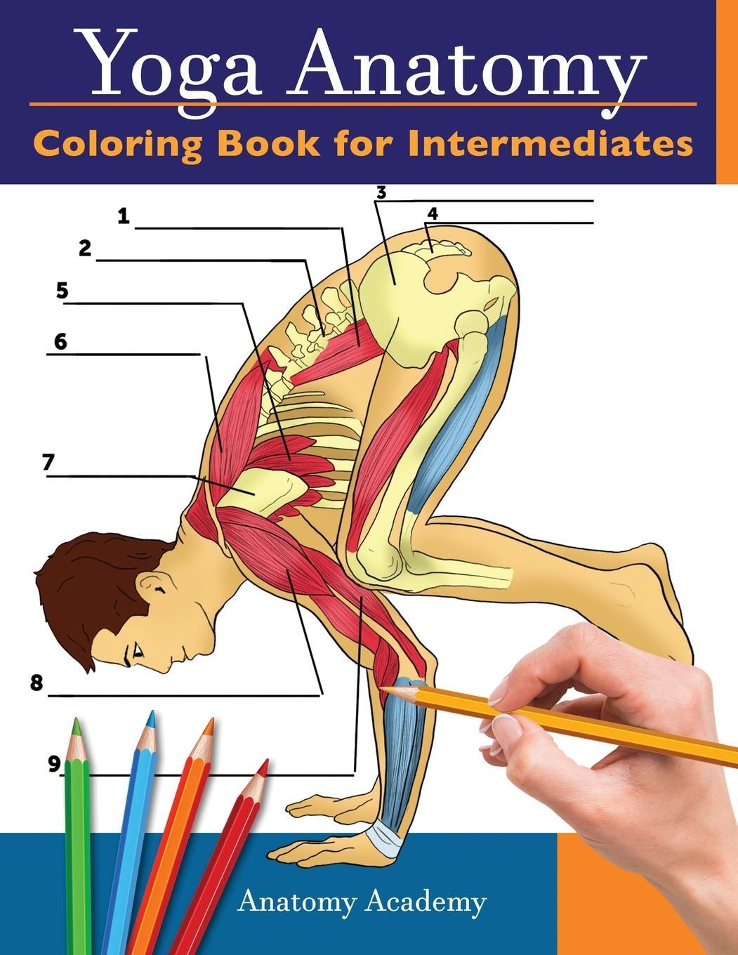 Cover: 9781914207013 | Yoga Anatomy Coloring Book for Intermediates | Anatomy Academy | Buch