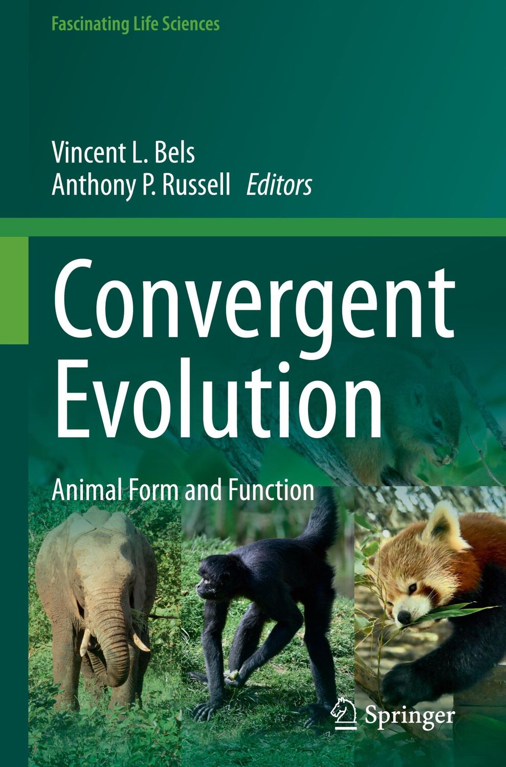 Cover: 9783031114403 | Convergent Evolution | Animal Form and Function | Russell (u. a.) | x