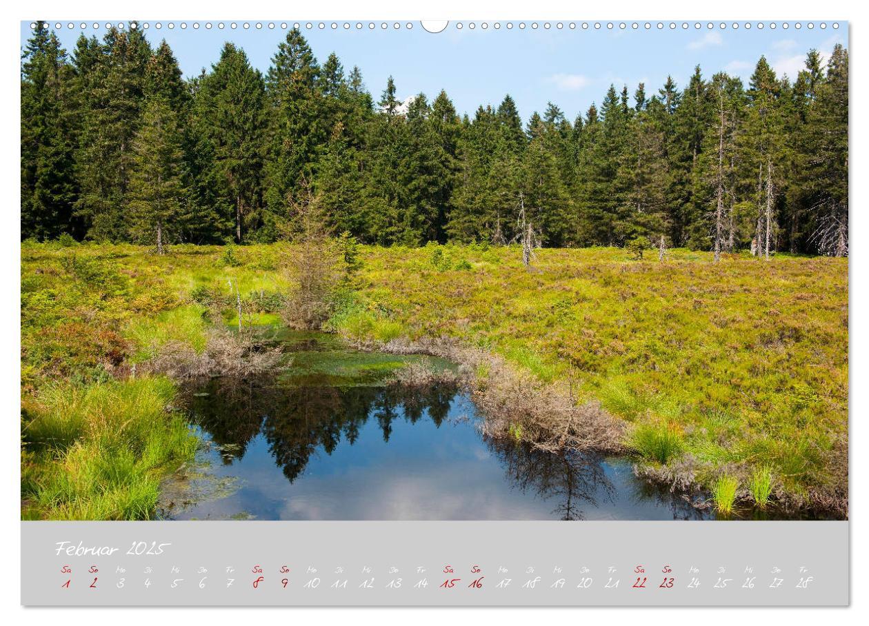 Bild: 9783435195602 | Thüringer Wald Das Grüne Herz Deutschlands (Wandkalender 2025 DIN...