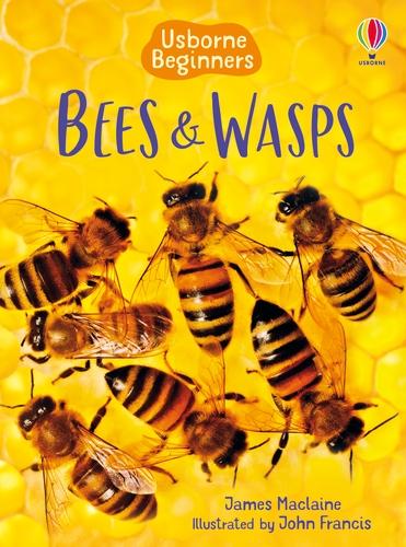 Cover: 9781409544876 | Bees and Wasps | James Maclaine | Buch | Gebunden | Englisch | 2013