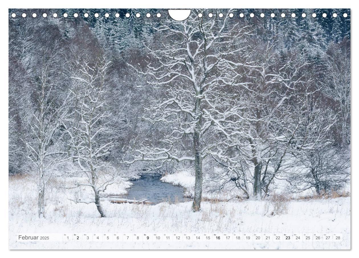 Bild: 9783435409853 | Moore und Bäche in Eifel und Ardennen (Wandkalender 2025 DIN A4...