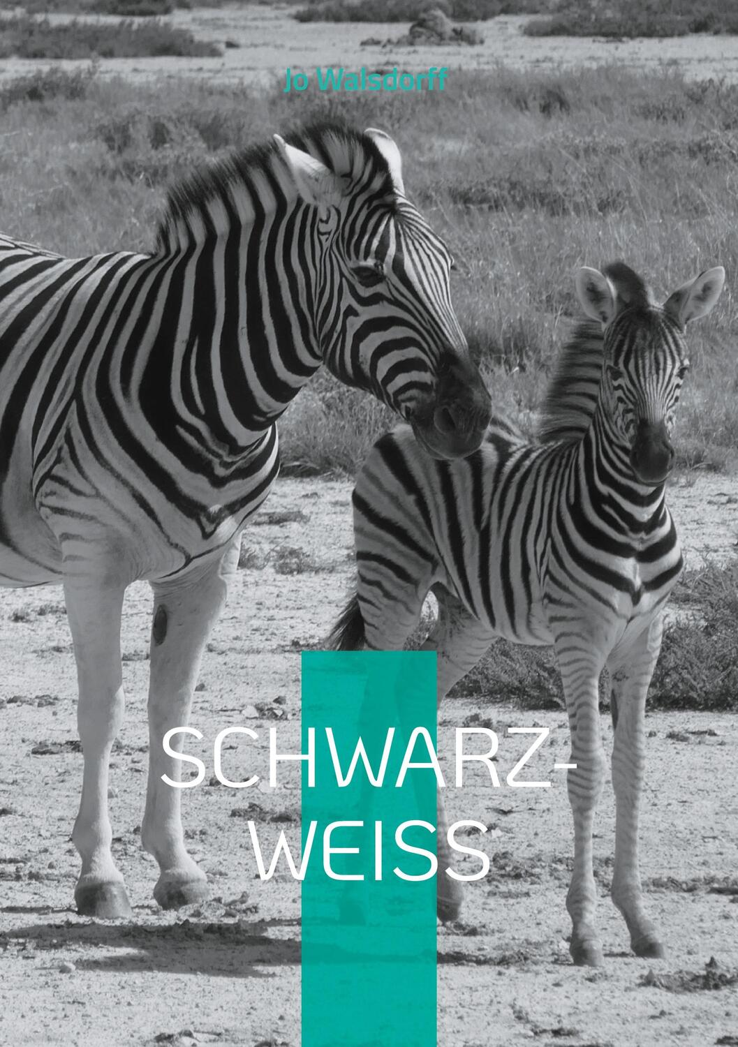 Cover: 9783759721310 | Schwarz-Weiß | Reise in Afrika | Jo Walsdorff | Taschenbuch | 296 S.