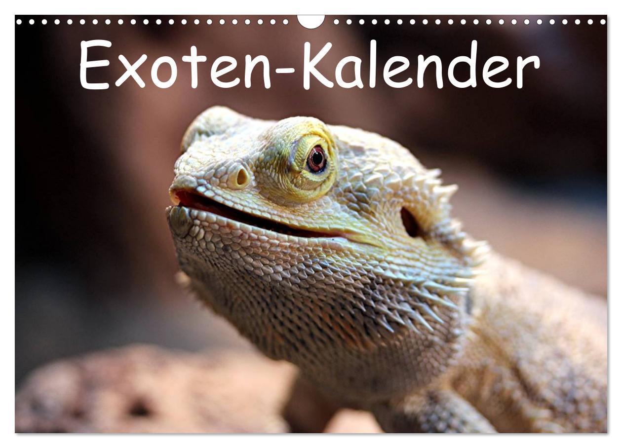 Cover: 9783435727322 | Exoten-Kalender (Wandkalender 2025 DIN A3 quer), CALVENDO...