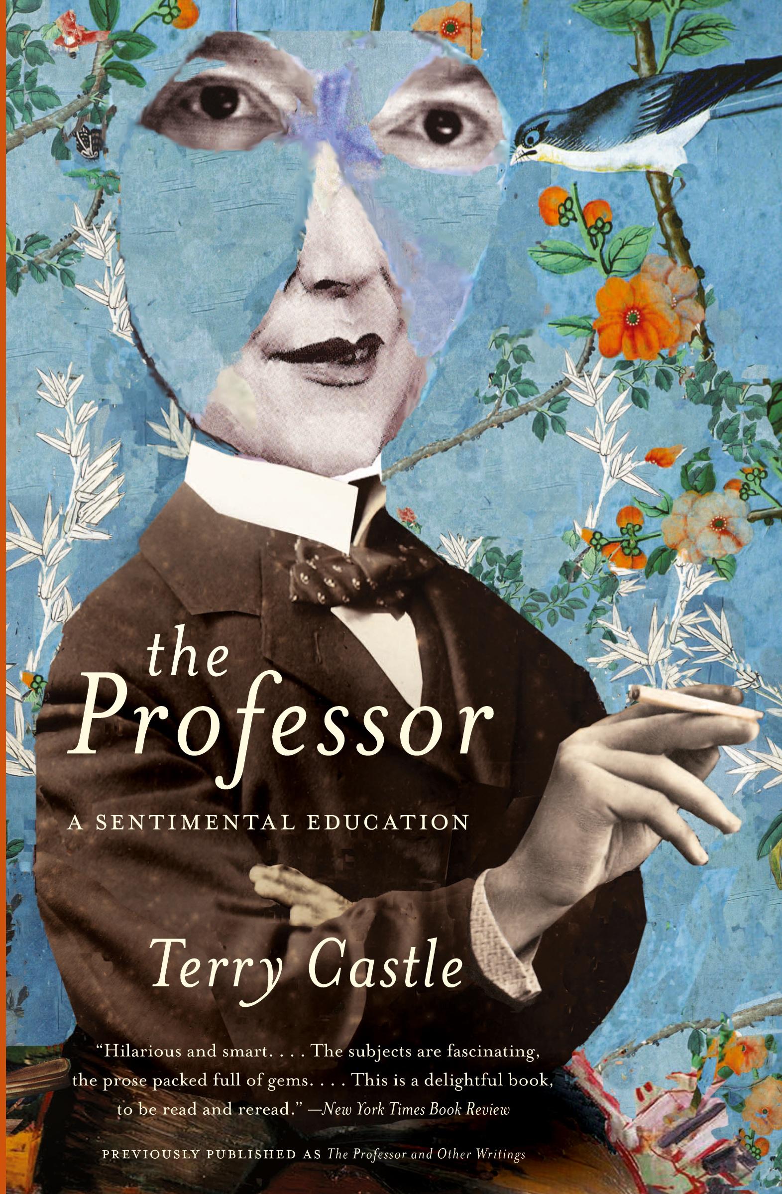 Cover: 9780061670923 | The Professor | A Sentimental Education | Terry Castle | Taschenbuch