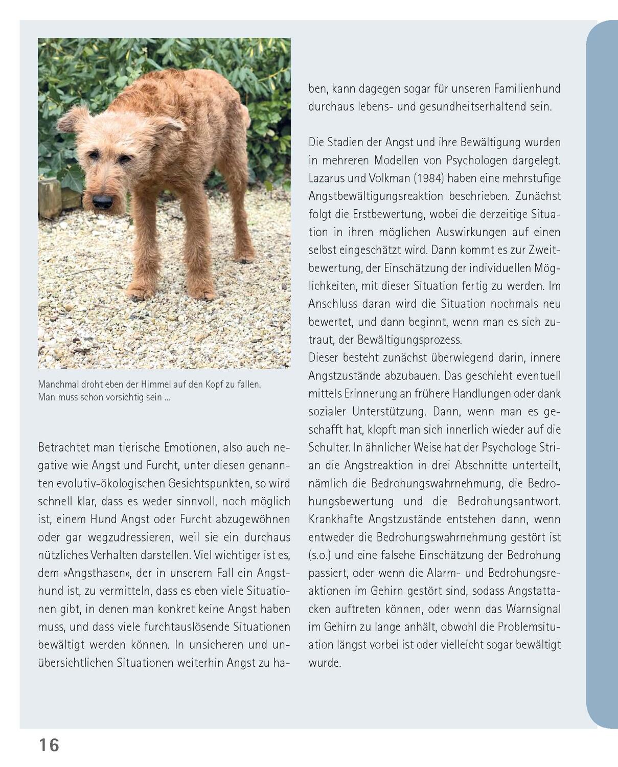 Bild: 9783275023097 | Mein Hund hat Angst | Petra Krivy (u. a.) | Taschenbuch | 160 S.