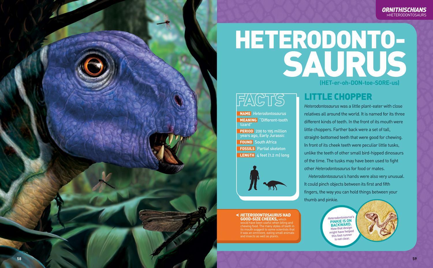 Bild: 9781426329050 | Ultimate Dinosaur Dinopedia | Don Lessem (u. a.) | Buch | Englisch