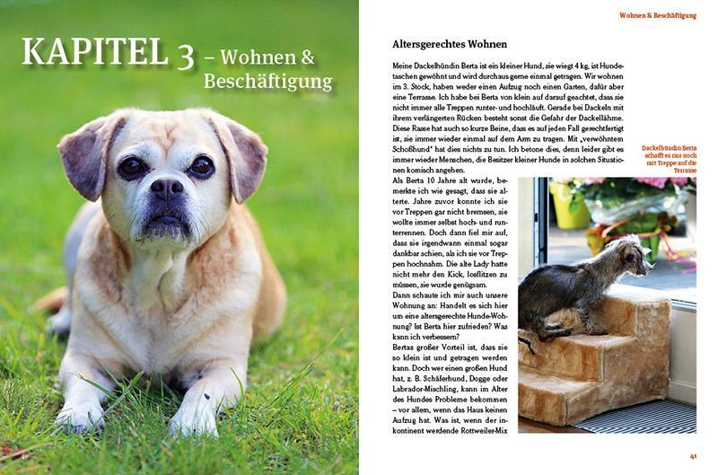 Bild: 9783866594739 | Hunde-Rentner | Tipps für "alte Felle" | Valentina Kurscheid | Buch