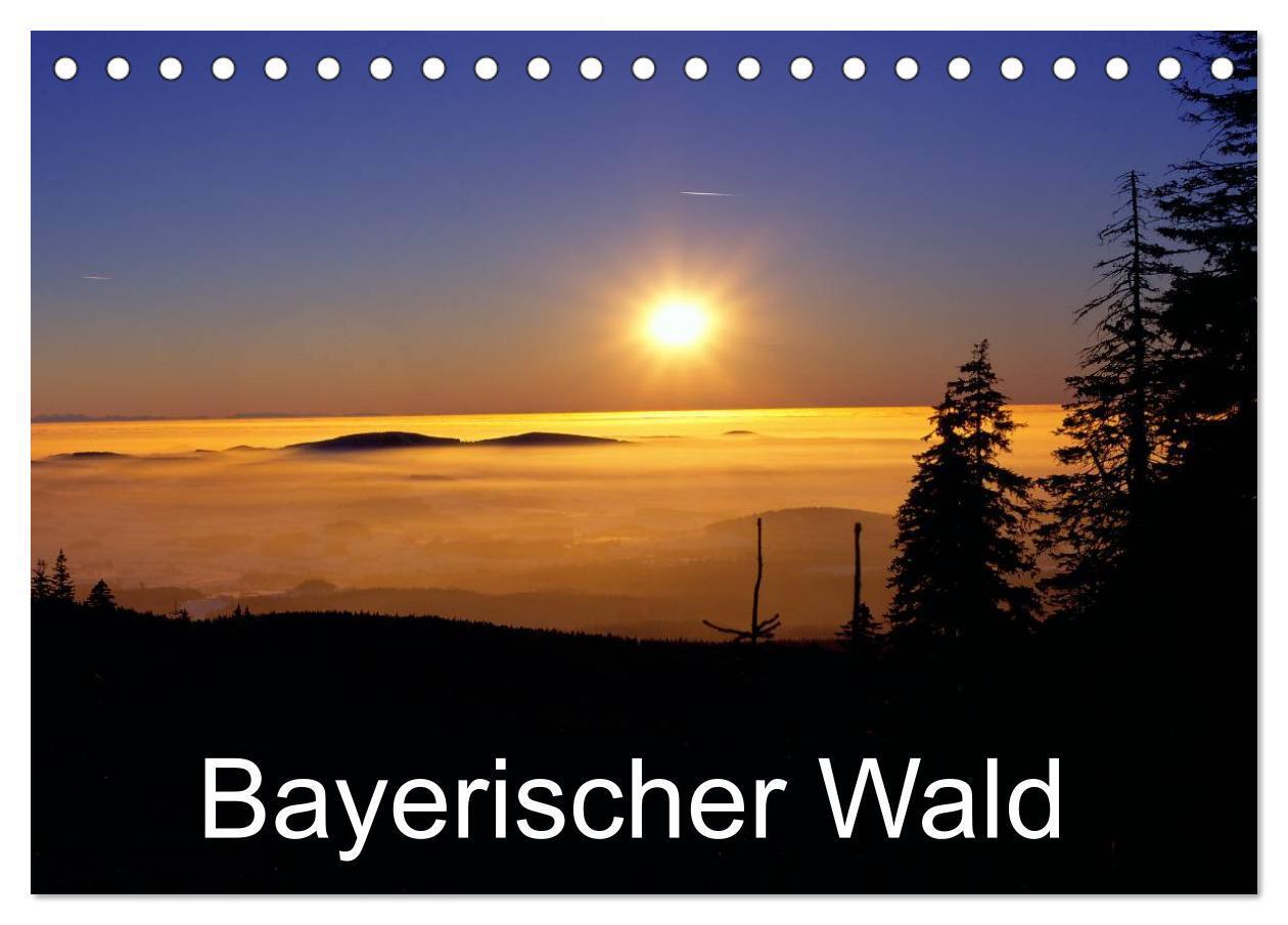 Cover: 9783435728619 | Bayerischer Wald (Tischkalender 2025 DIN A5 quer), CALVENDO...