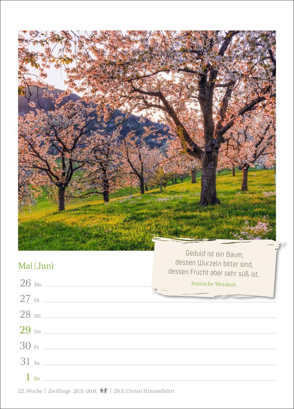 Bild: 9783840034107 | Lebensweisheiten Wochenkalender 2025 - mit Zitaten | Harenberg | 54 S.
