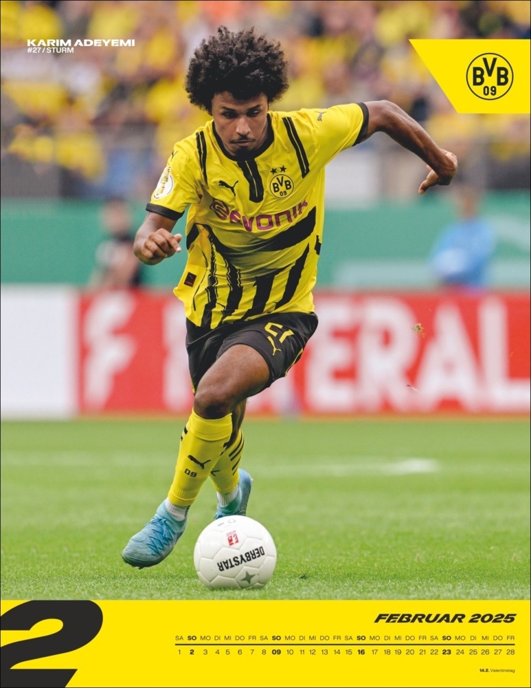 Bild: 9783756405435 | BVB Posterkalender 2025 | Kalender | Spiralbindung | 15 S. | Deutsch