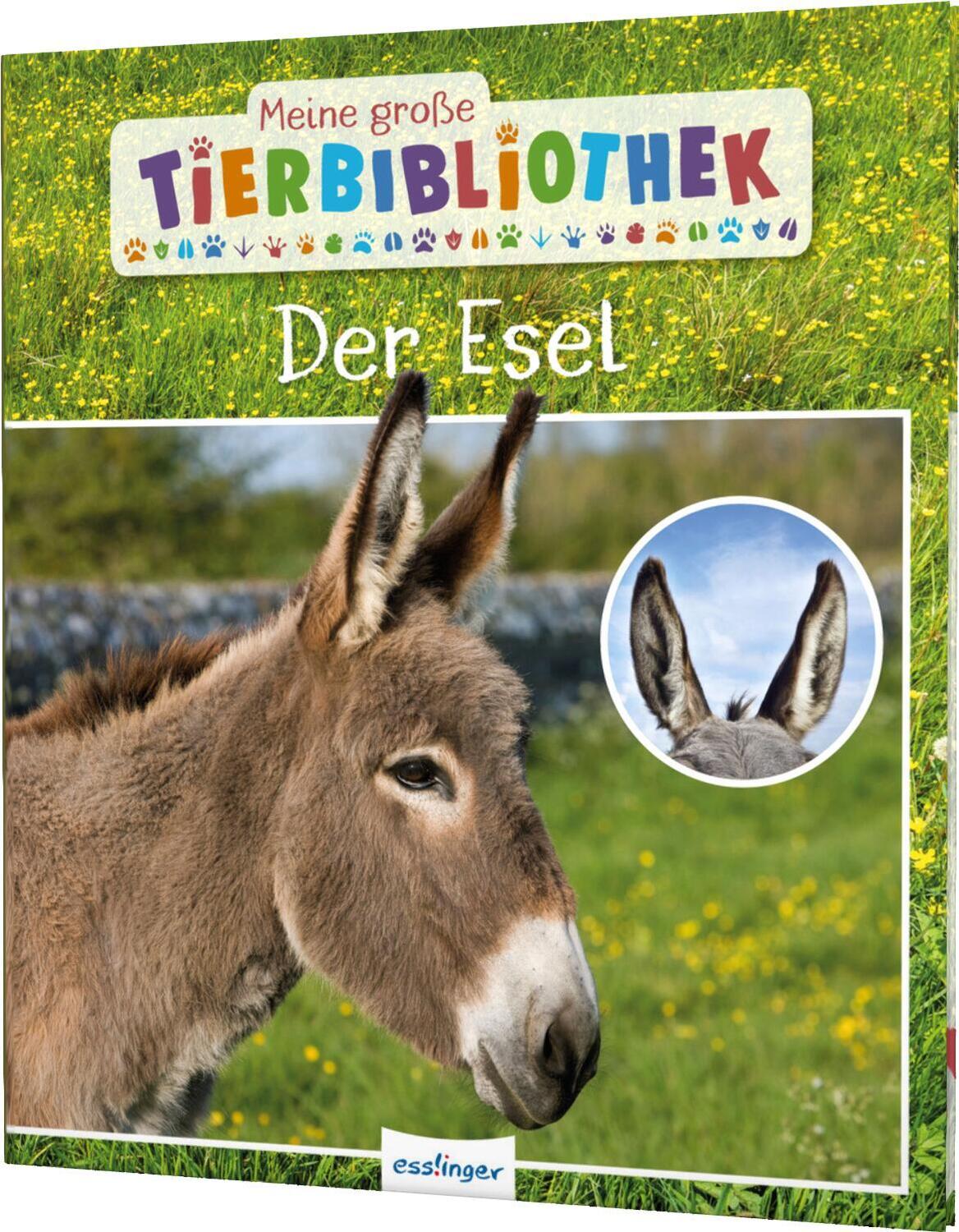 Cover: 9783480236329 | Meine große Tierbibliothek: Der Esel | Axel Gutjahr | Buch | 32 S.