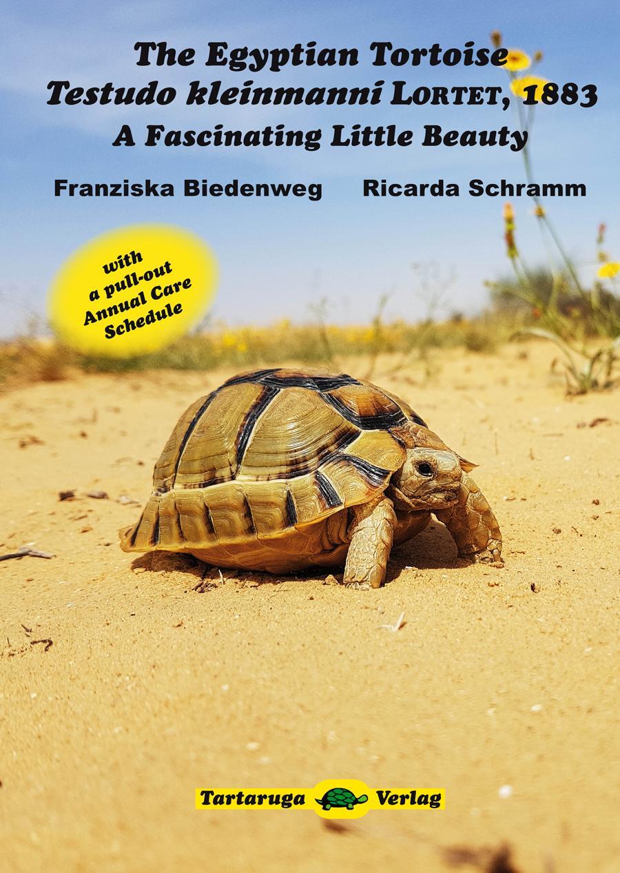 Cover: 9783000623431 | The Egyptian Tortoise, Testudo kleinmanni Lortet, 1883 | Taschenbuch