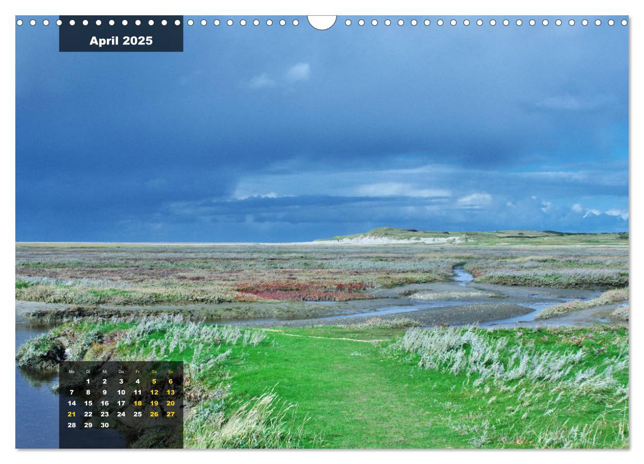 Bild: 9783435331390 | Texel Insel mit Charakter (Wandkalender 2025 DIN A3 quer), CALVENDO...