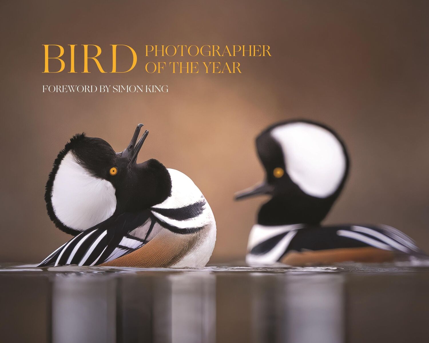 Cover: 9780691263595 | Bird Photographer of the Year | Collection 9 | Limited | Buch | 2024