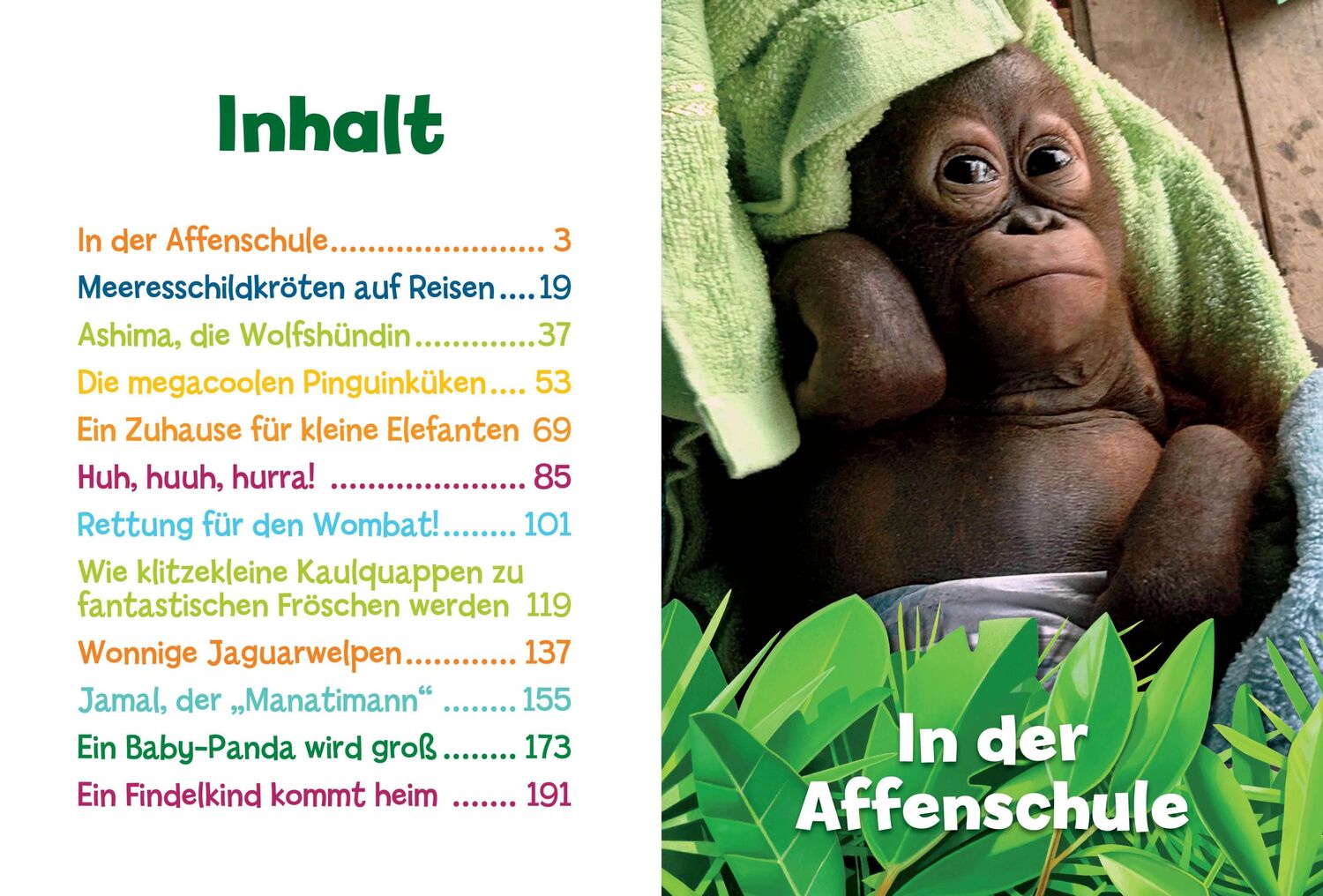 Bild: 9788863126310 | 5-Minuten-Geschichten Tierbabys | Ulrike Brandhorst | Buch | 208 S.