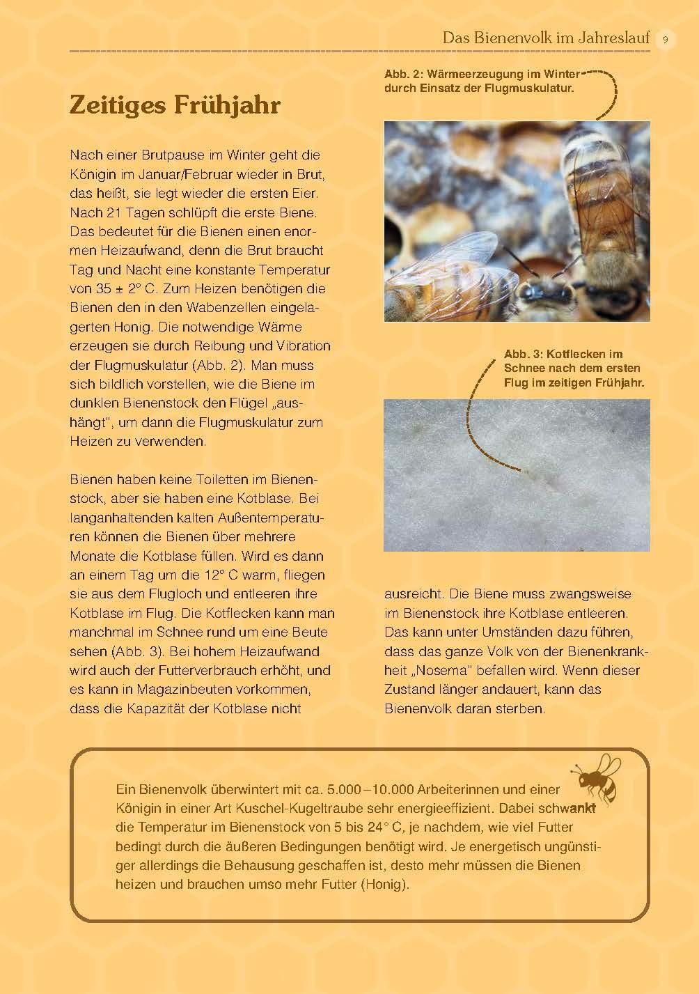 Bild: 9783955877989 | Mit Bienen die Welt retten | Andreas Heidinger | Taschenbuch | 160 S.