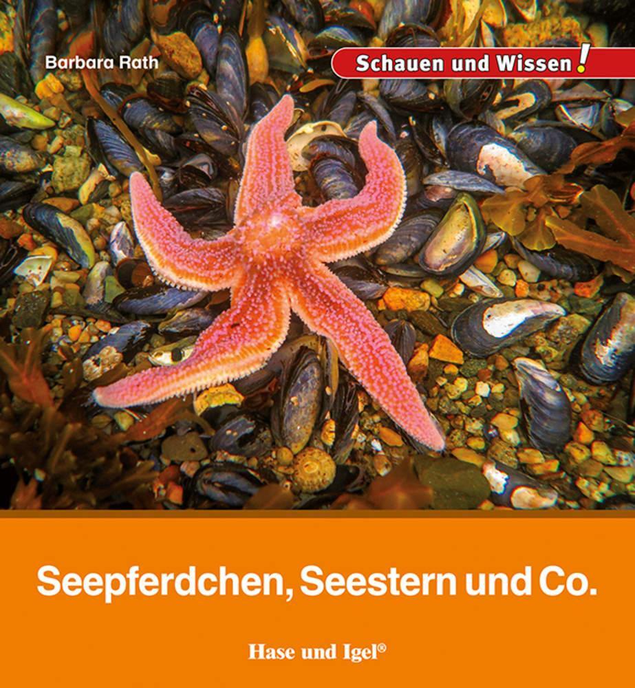 Cover: 9783863164706 | Seepferdchen, Seestern und Co. | Schauen und Wissen! | Barbara Rath