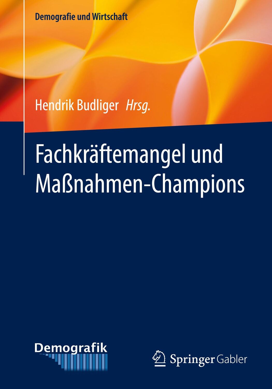 Cover: 9783658453633 | Fachkräftemangel und Maßnahmen-Champions | Hendrik Budliger | Buch