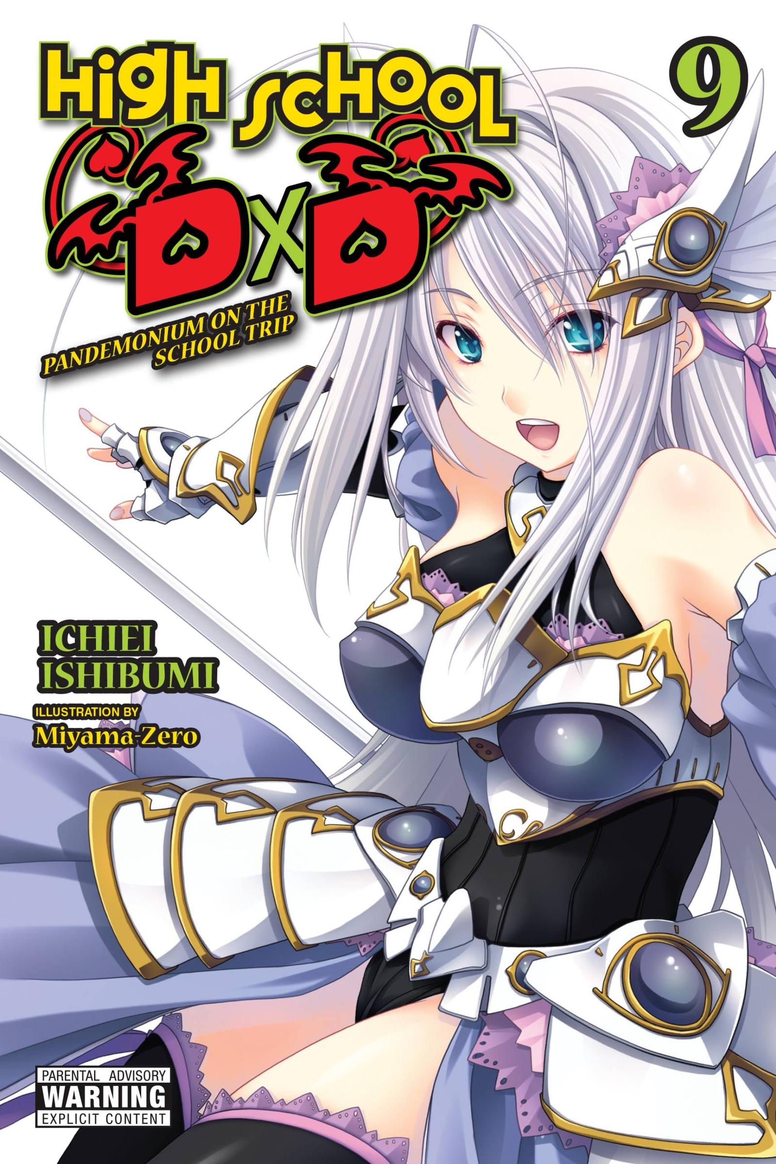 Cover: 9781975343811 | High School DXD, Vol. 9 (Light Novel) | Volume 9 | Ichiei Ishibumi