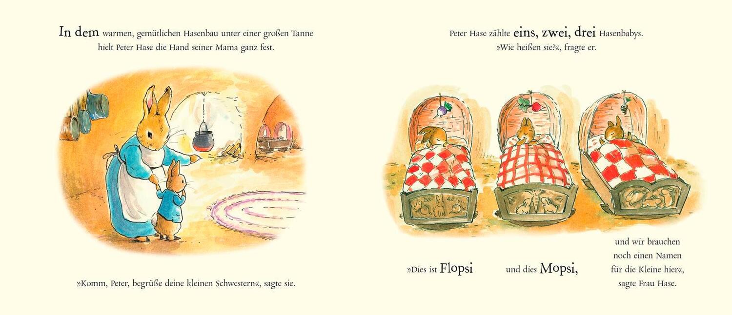 Bild: 9783737357593 | Großer Bruder Peter Hase | Ein Geschwisterchenbuch | Beatrix Potter