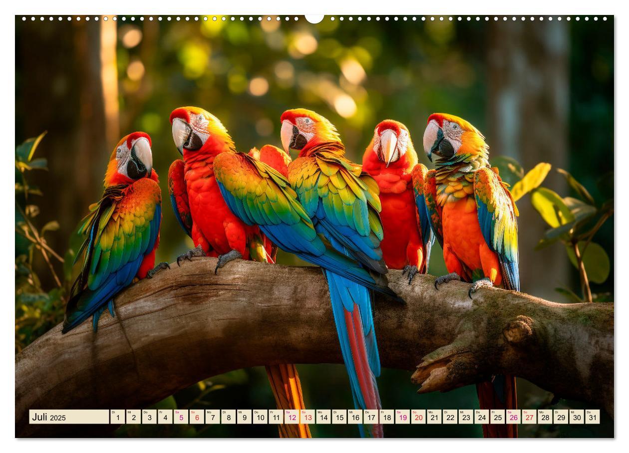 Bild: 9783383906862 | Papageien - Ara (Wandkalender 2025 DIN A2 quer), CALVENDO...