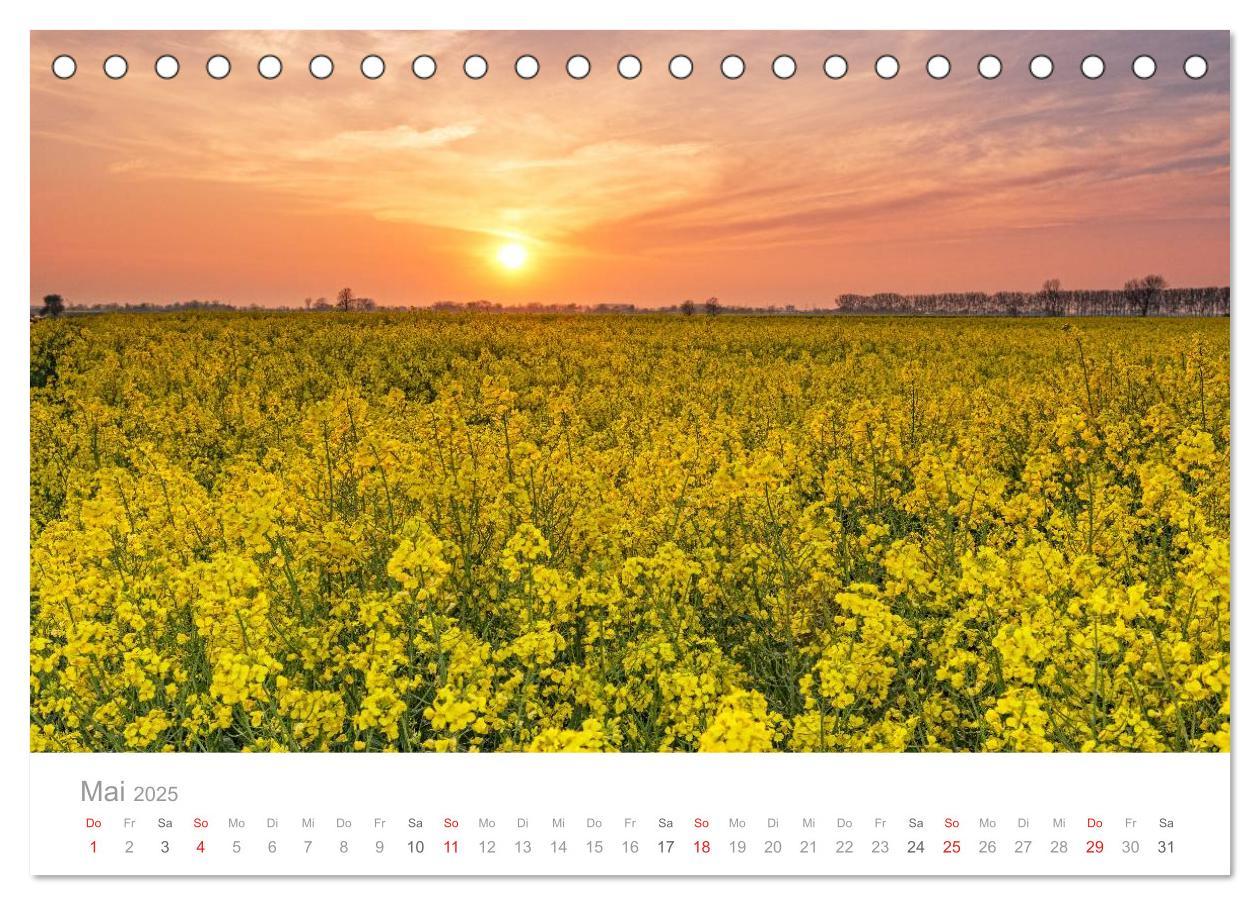 Bild: 9783435619450 | Lichtreise durch Schleswig-Holstein (Tischkalender 2025 DIN A5...