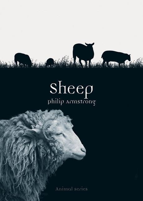 Cover: 9781780235936 | Sheep | Philip Armstrong | Taschenbuch | 2016 | Reaktion Books