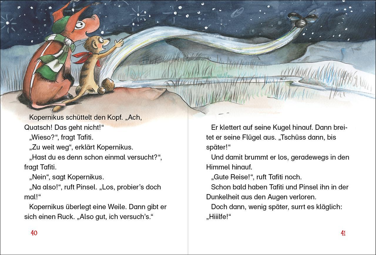 Bild: 9783743203846 | Tafiti und das Geheimnis der Sterne (Band 14) | Julia Boehme | Buch