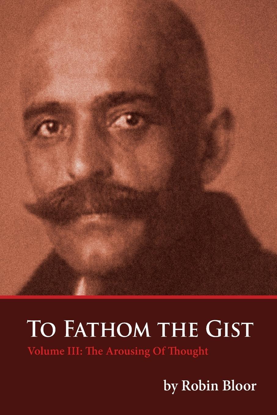 Cover: 9780996629935 | To Fathom The Gist Volume III | The Arousing of Thought | Robin Bloor