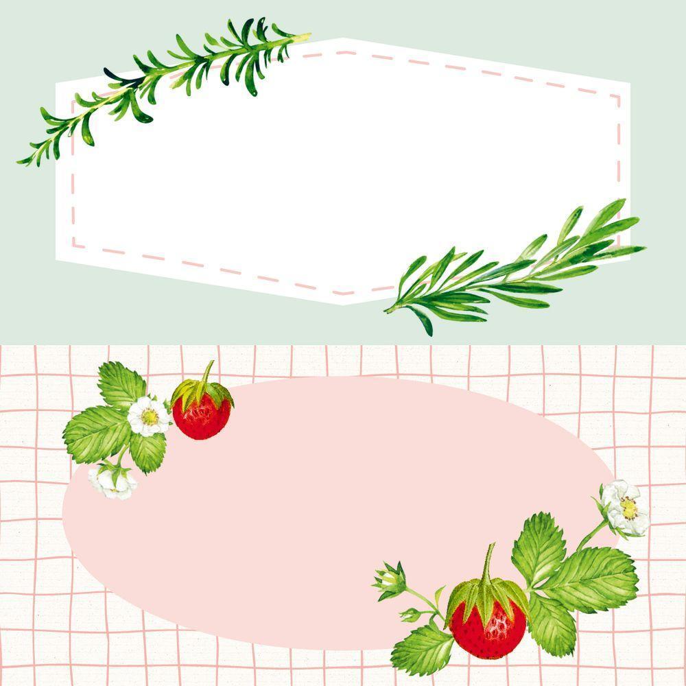 Bild: 4041433880926 | Küchen-Etiketten (Rote Beeren, Hölker Küchenpapeterie) | Taschenbuch