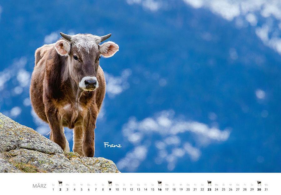 Bild: 9783966648226 | Kühe Kalender 2025 | Der Tierkalender mit den charmanten Namen | 14 S.