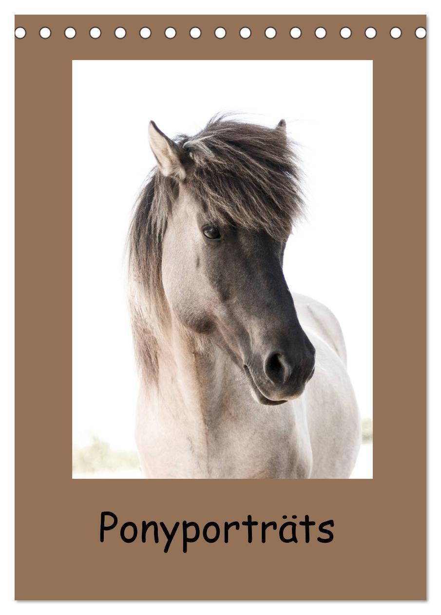 Cover: 9783383554940 | Ponyporträts (Tischkalender 2024 DIN A5 hoch), CALVENDO Monatskalender
