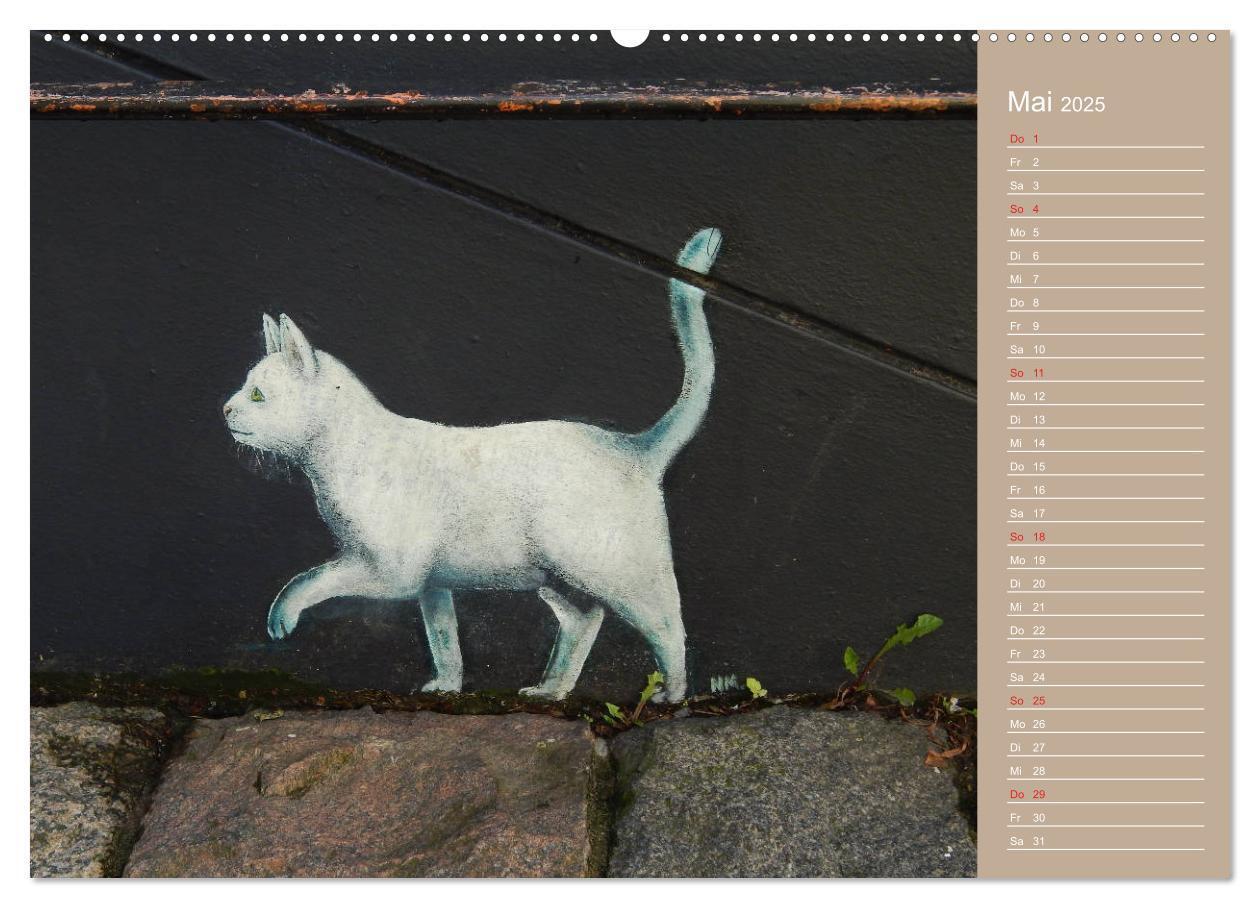 Bild: 9783435289691 | Flensburger Katzen (Wandkalender 2025 DIN A2 quer), CALVENDO...