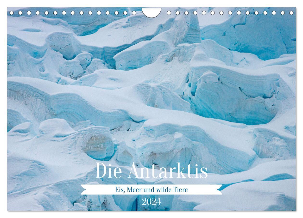 Cover: 9783383739293 | Die Antarktis - Eis, Meer und wilde Tiere (Wandkalender 2024 DIN A4...