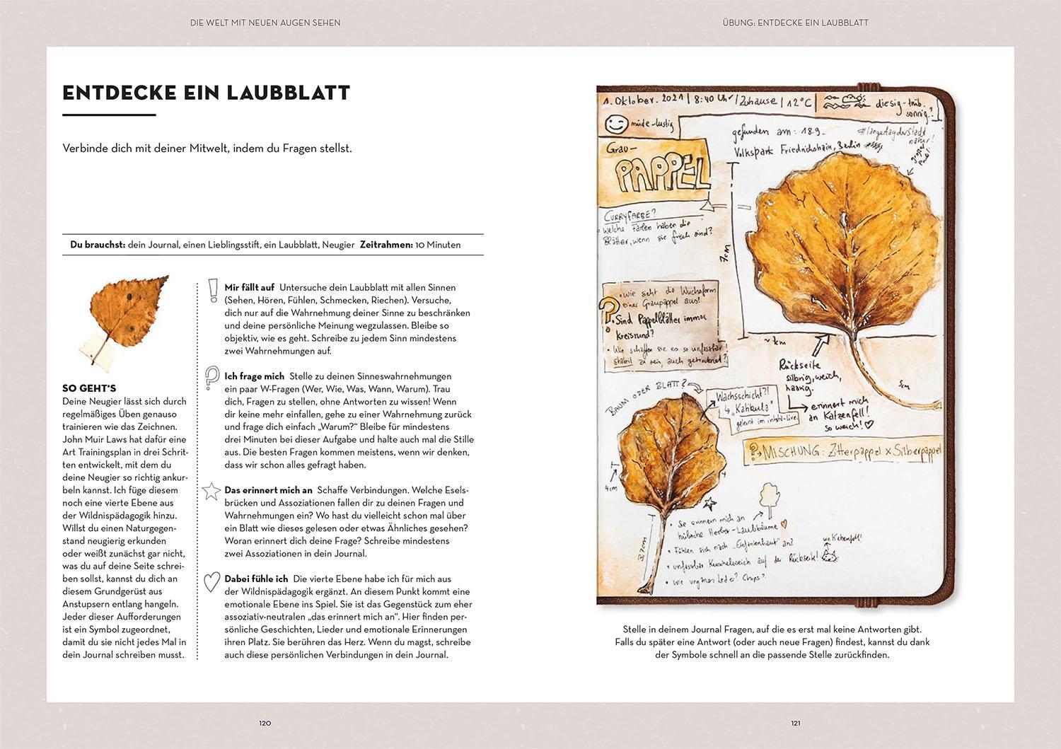 Bild: 9783440177228 | Nature Journaling | Verena Hillgärtner | Taschenbuch | 144 S. | 2023