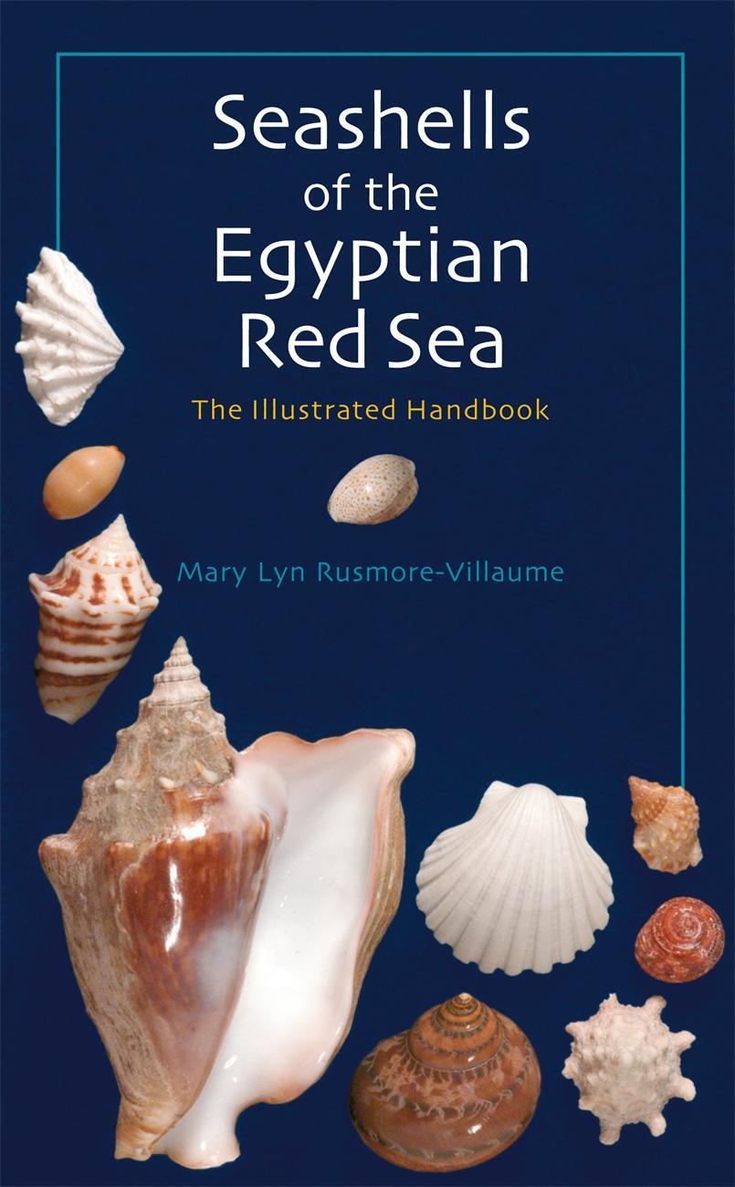 Cover: 9789774160967 | Seashells of the Egyptian Red Sea | The Illustrated Handbook | Buch