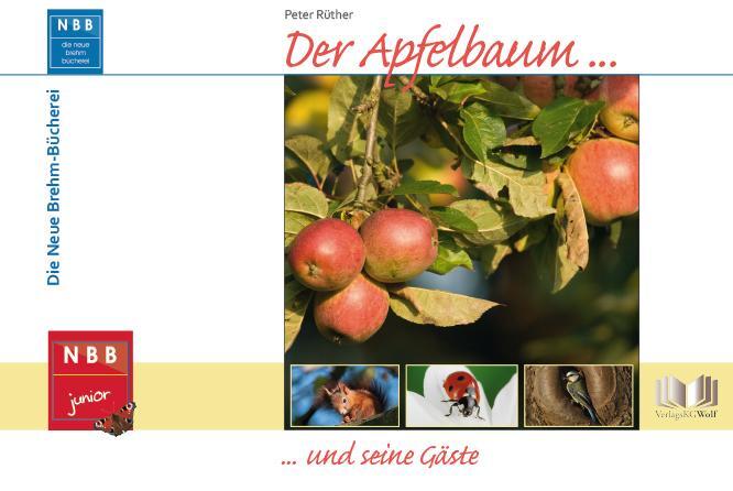 Cover: 9783894321413 | Der Apfelbaum | Peter Rüther | Buch | NBB junior | Deutsch | 2016