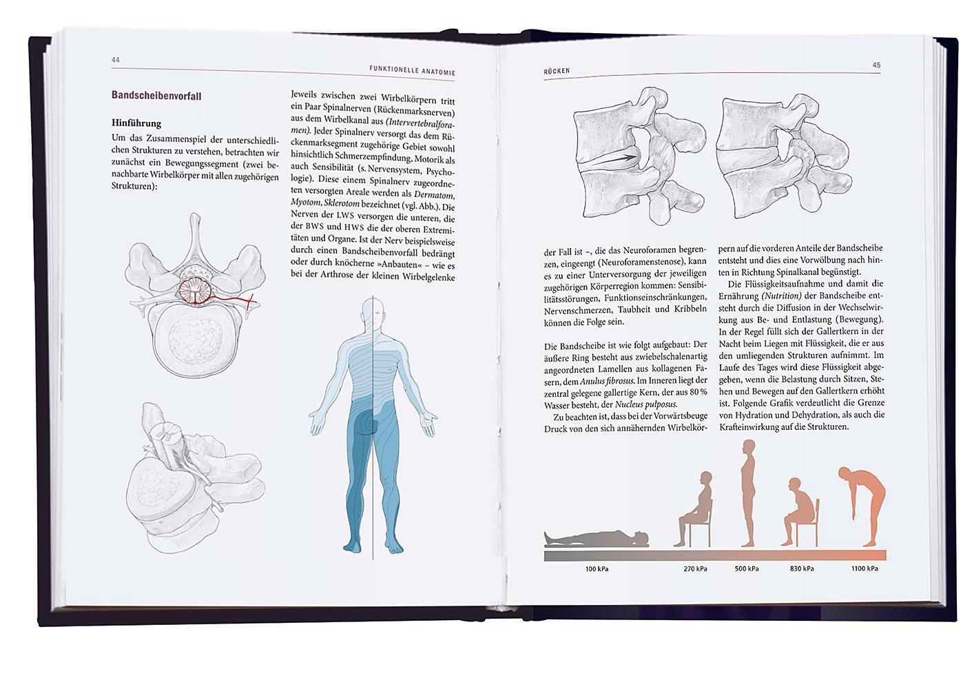 Bild: 9783426293294 | Yoga-Therapie in der Praxis | Bitta Boerger | Buch | 432 S. | Deutsch