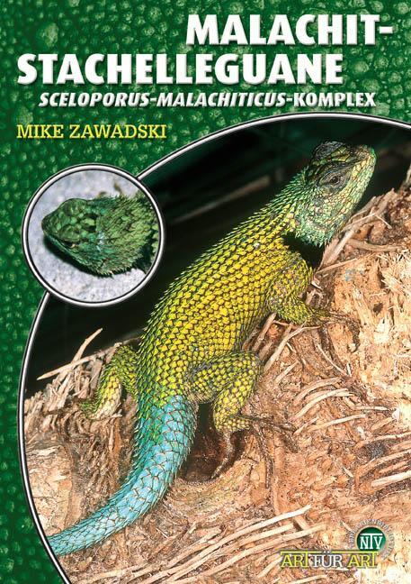 Cover: 9783937285115 | Malachit-Stachelleguane | Der Sceloporus-Malachiticus-Komplex | Buch