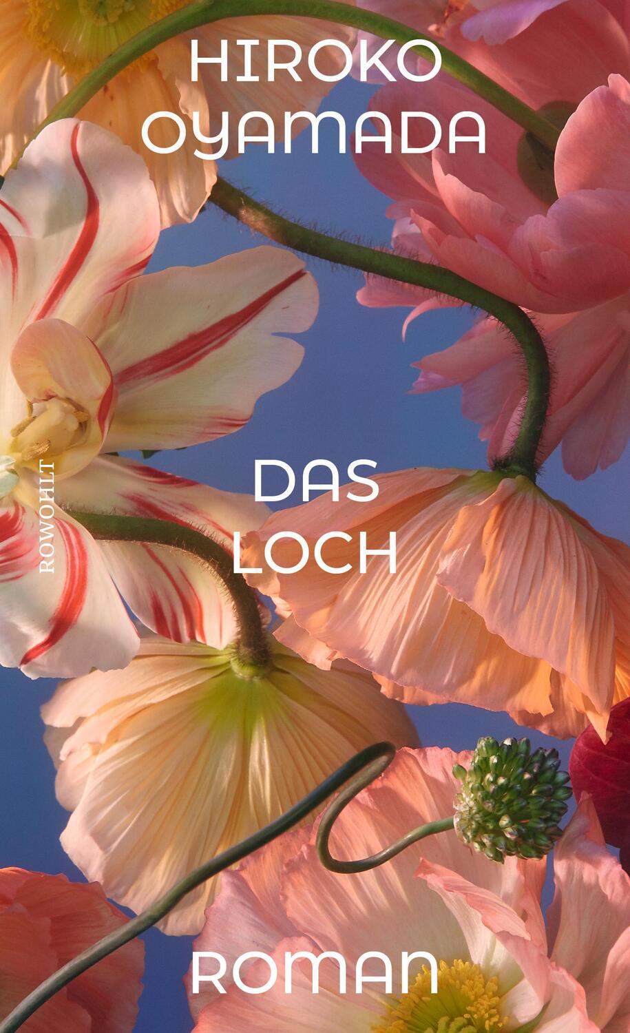 Cover: 9783498004866 | Das Loch | Hiroko Oyamada | Buch | 128 S. | Deutsch | 2024