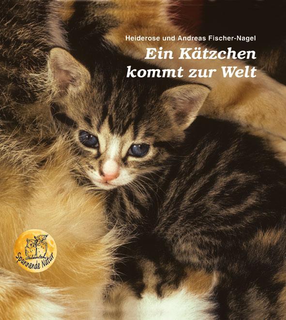 Cover: 9783930038053 | Ein Kätzchen kommt zur Welt | Heiderose Fischer-Nagel (u. a.) | Buch